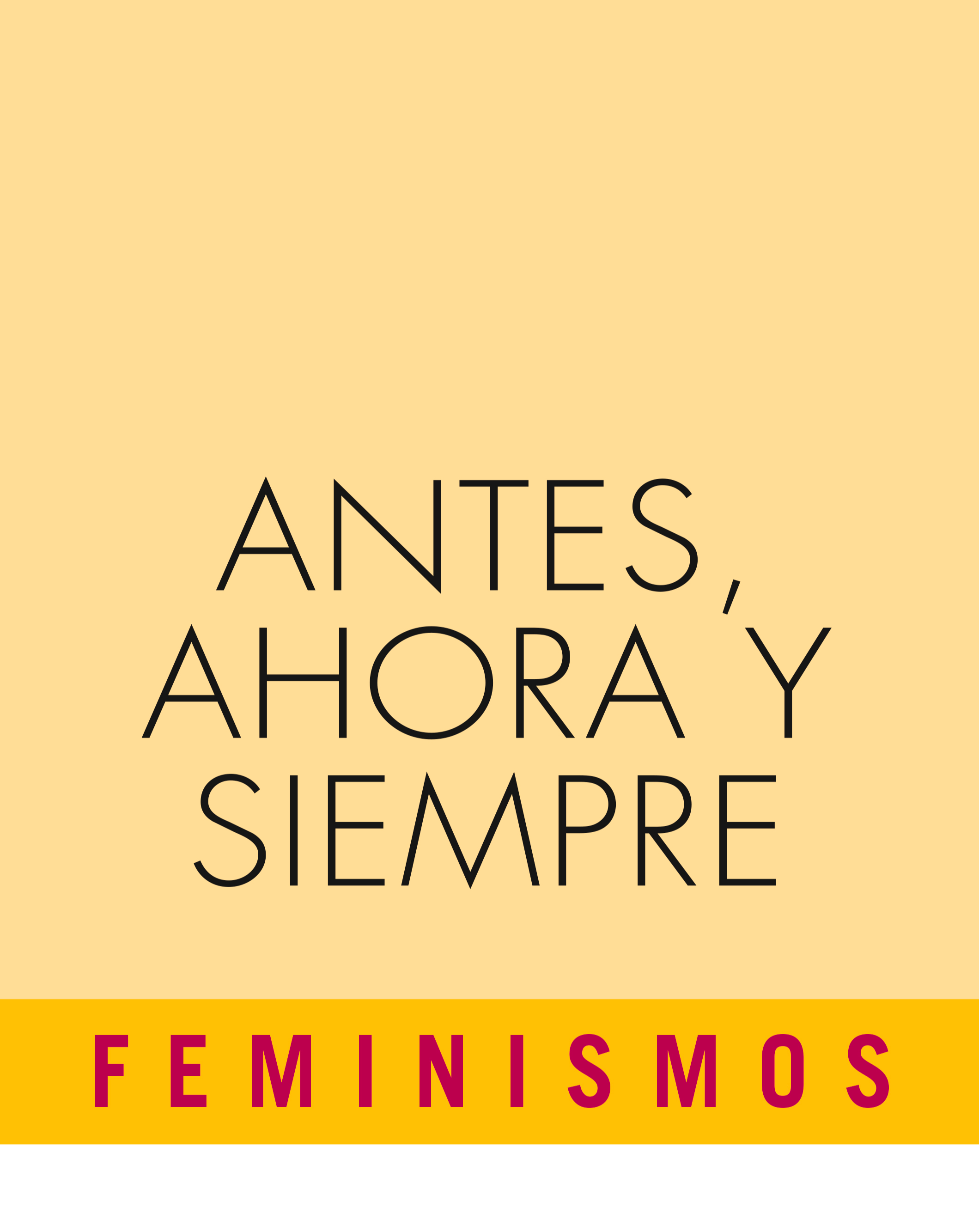FEMINISMOS - 30 ANIVERSARIO